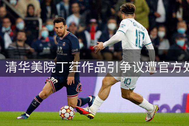 清华美院丁荭作品引争议遭官方处理