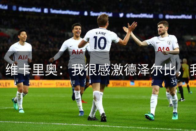 维卡里奥：我很感激德泽尔比，我们的关系非常好